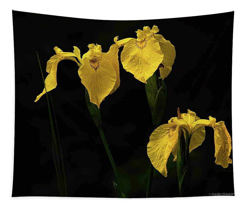Iris Tapestry featuring the photograph Iris 4 by Al Griffin
