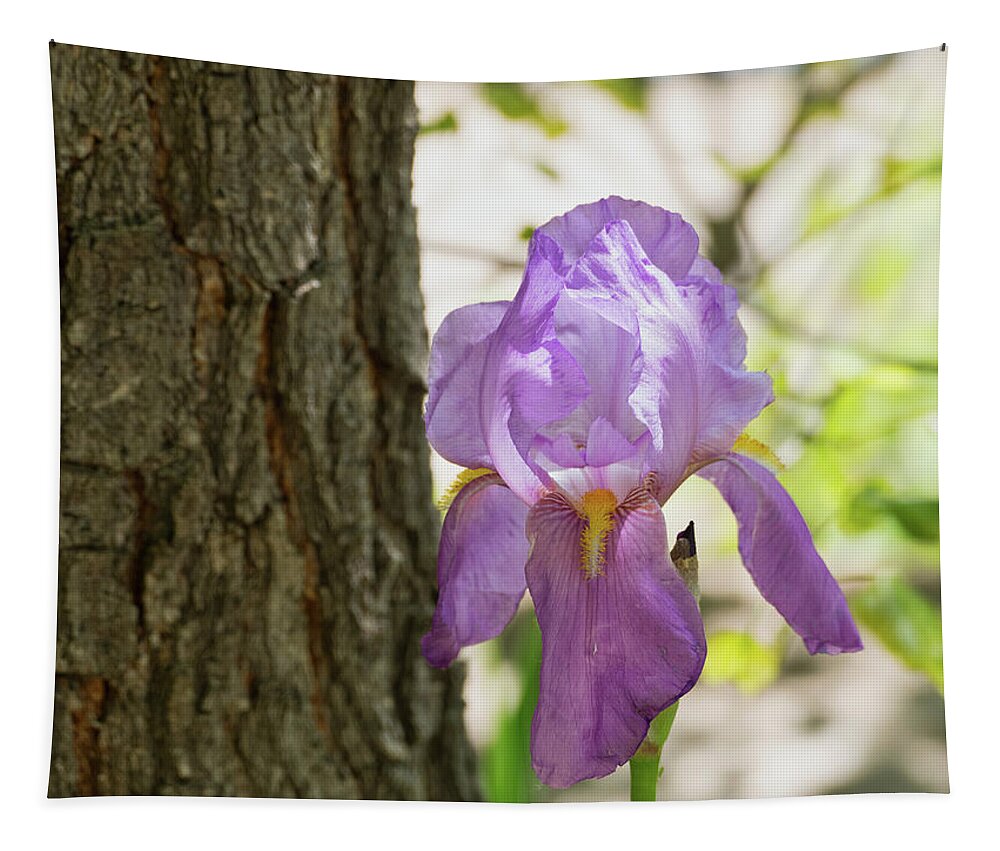 Flora Tapestry featuring the photograph Iris by Segura Shaw Photography