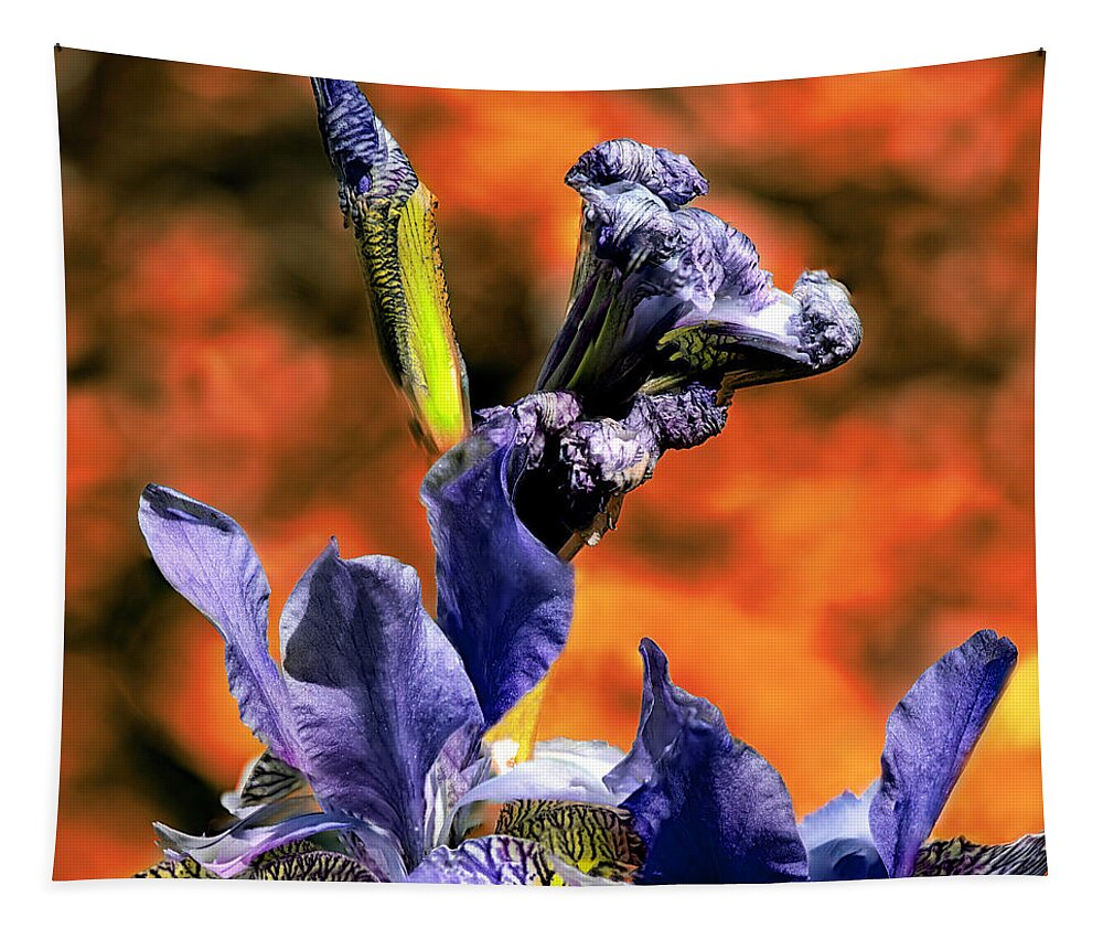 Flower Tapestry featuring the photograph Iris The Greek Goddess by Rob Hemphill