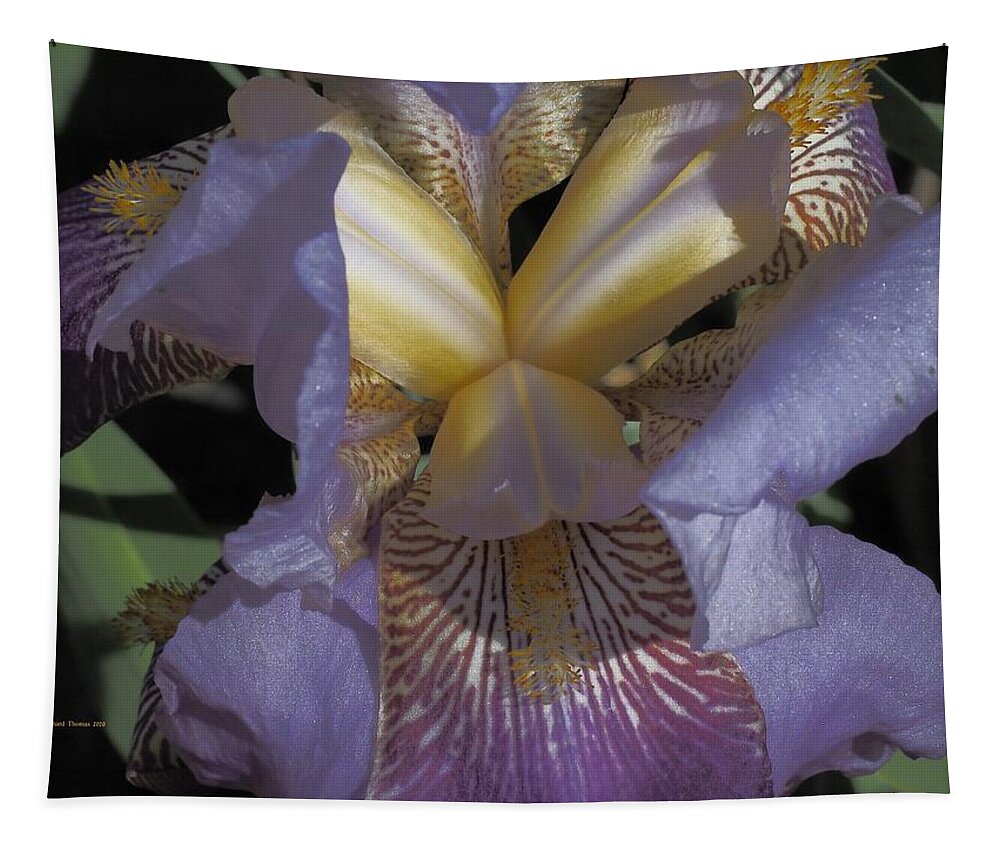 Botanical Tapestry featuring the photograph Iris Yawn by Richard Thomas