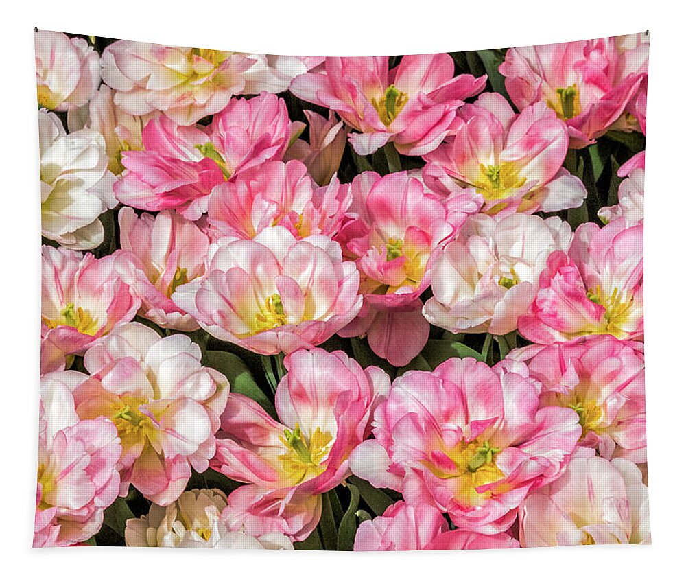 Tulips Tapestry featuring the photograph Irresistible Peach Blossom Tulips by Elvira Peretsman