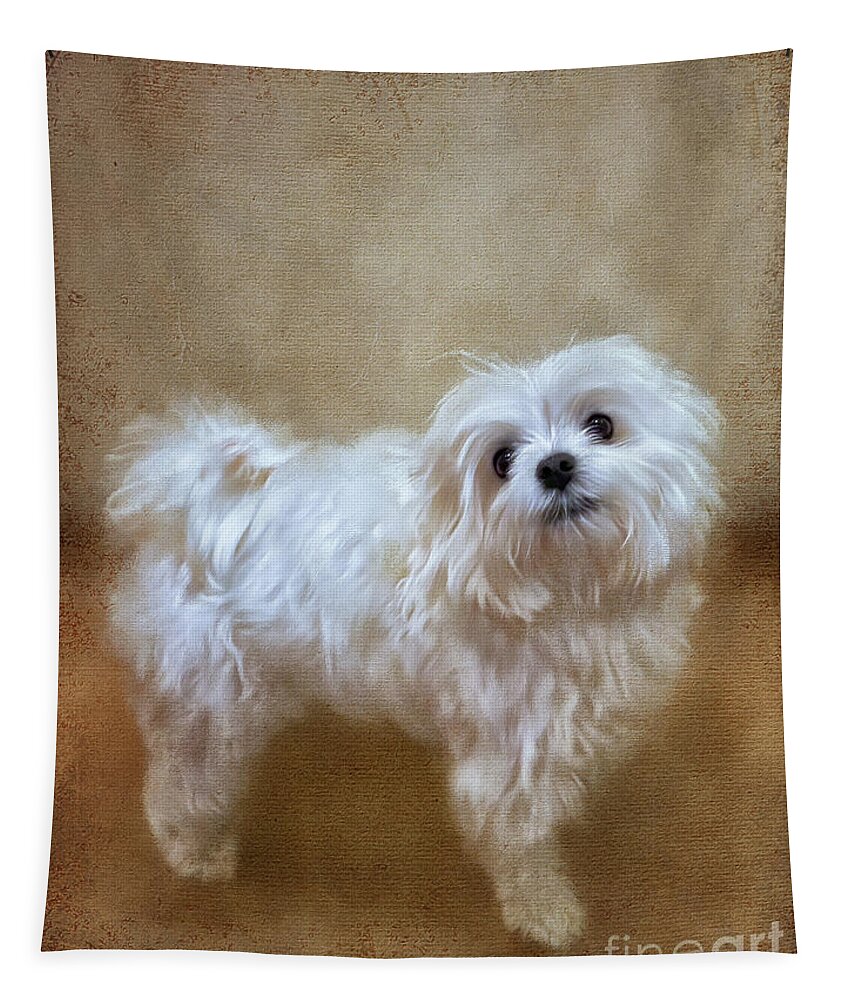 Pet Tapestry featuring the digital art Is It Cuddle Time Yet by Lois Bryan