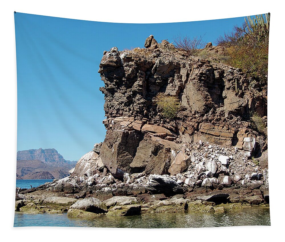 Ocean Tapestry featuring the photograph Isla Coronado Cliffs by William Scott Koenig