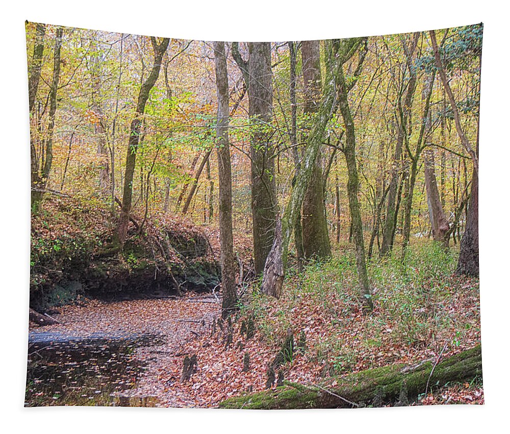 Island Creek Tapestry featuring the photograph Island Creek Trail - November 2021 by Bob Decker