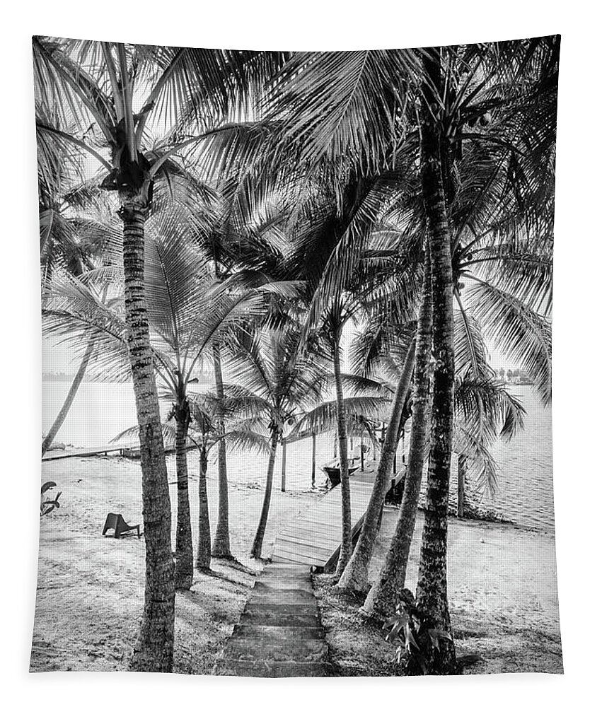 Black Tapestry featuring the photograph Island Dock Under Palms Black and White by Debra and Dave Vanderlaan