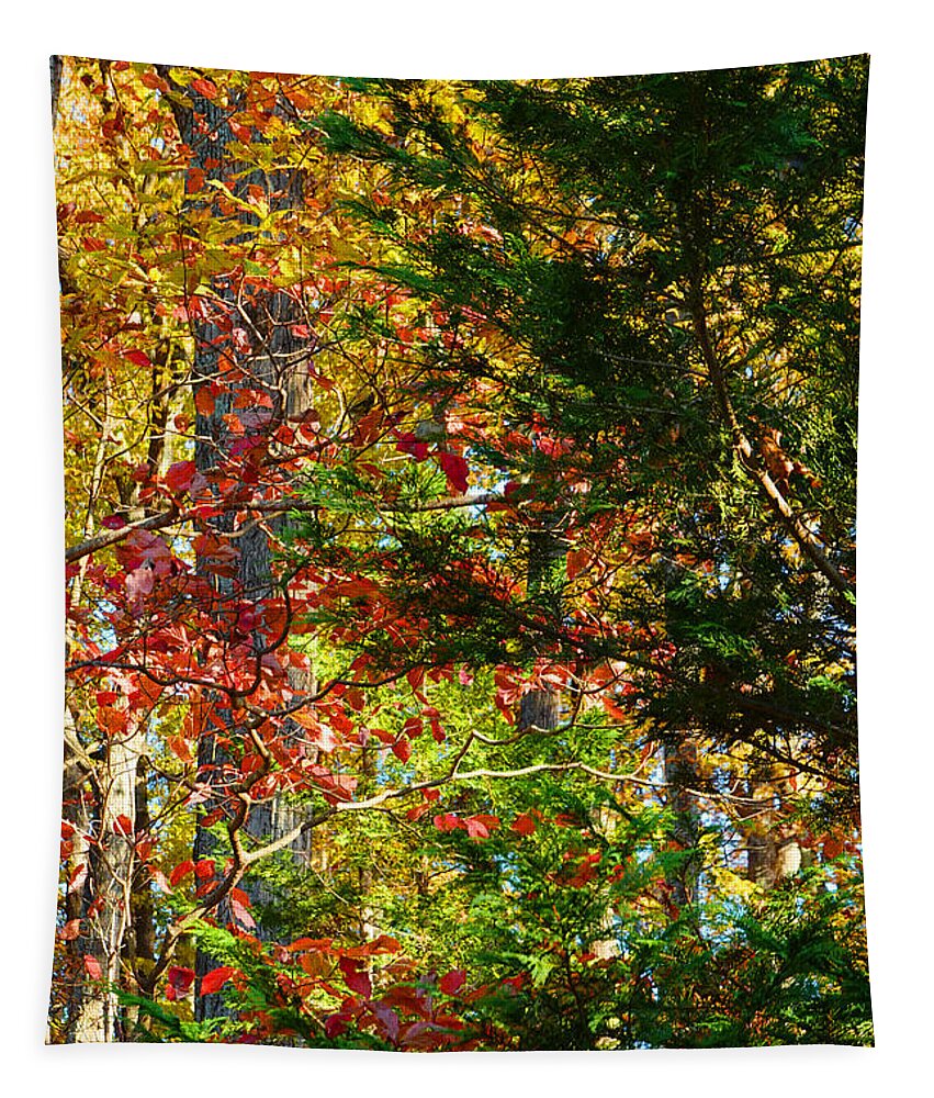 Colorful Tapestry featuring the photograph It's So Easy Being Green - A Piedmont Autumn Impression by Steve Ember