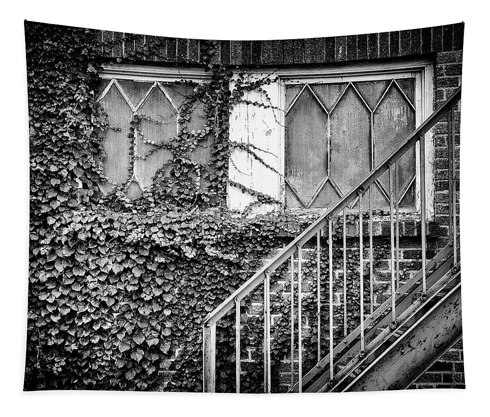  Tapestry featuring the photograph Ivy, Window And Stairs by Steve Stanger