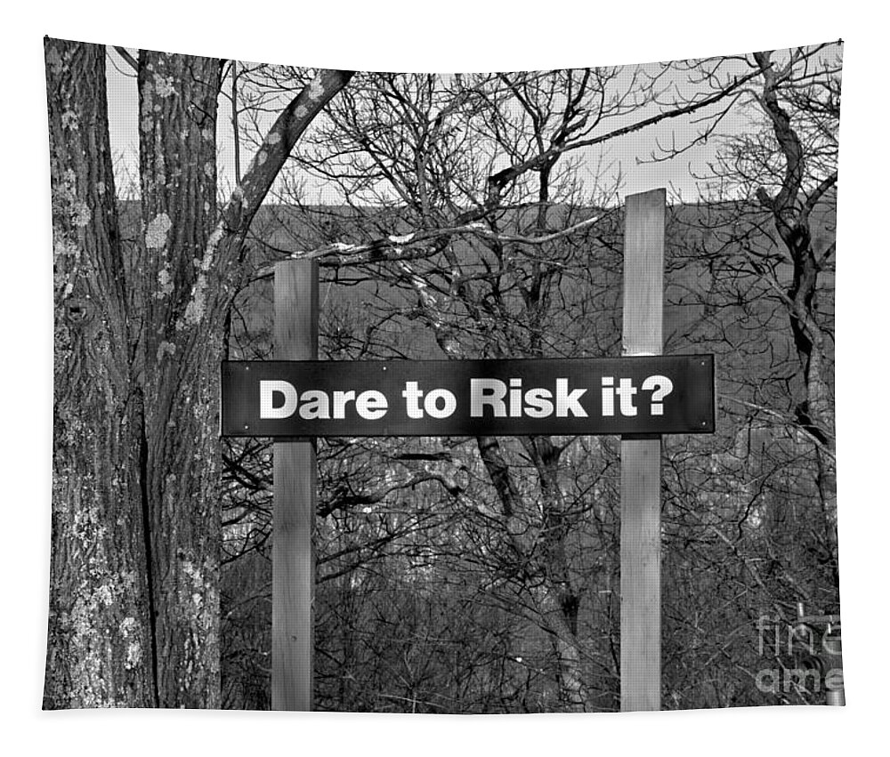 Jack Tapestry featuring the photograph Jack Frost Dare To Risk It Black And White by Adam Jewell
