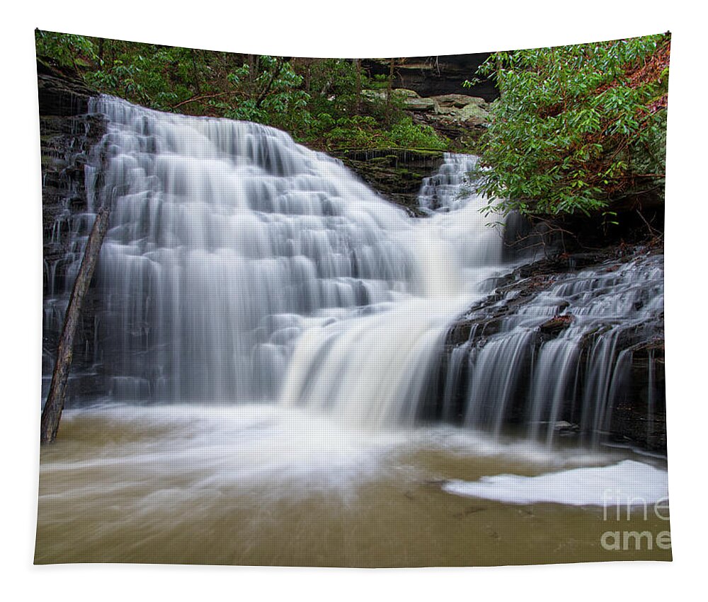 Jack Rock Falls Tapestry featuring the photograph Jack Rock Falls 20 by Phil Perkins