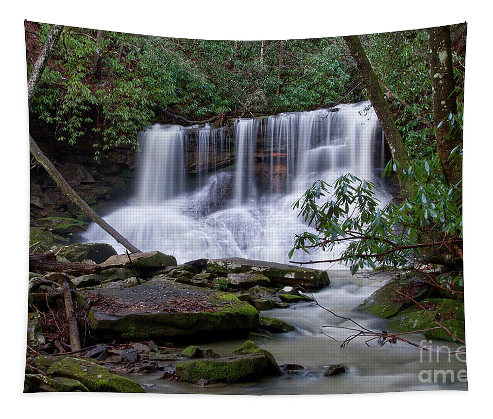 Jack Rock Falls Tapestry featuring the photograph Jack Rock Falls 23 by Phil Perkins