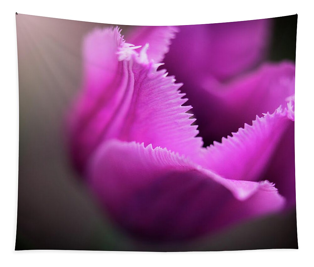  Tapestry featuring the photograph Jagged Tulip by Nicole Engstrom