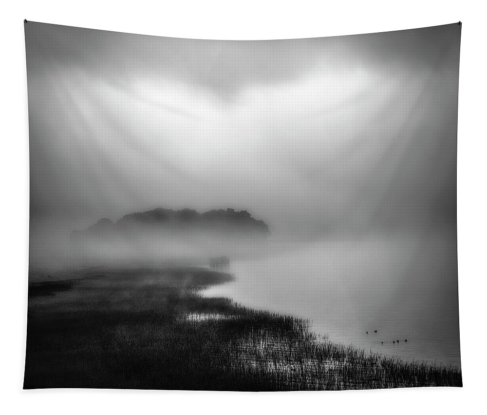 Heavy Fog Tapestry featuring the photograph Jake's Island at China Camp by Donald Kinney