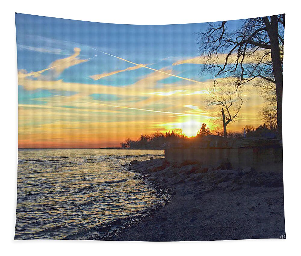 Lake Erie Tapestry featuring the photograph January Shoreline by Phill Doherty