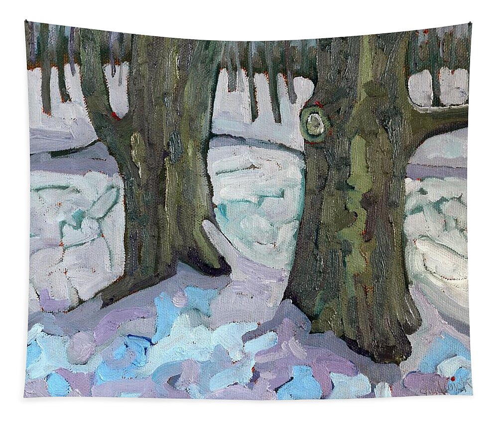 2453 Tapestry featuring the painting January Sugar Maple Siblings by Phil Chadwick
