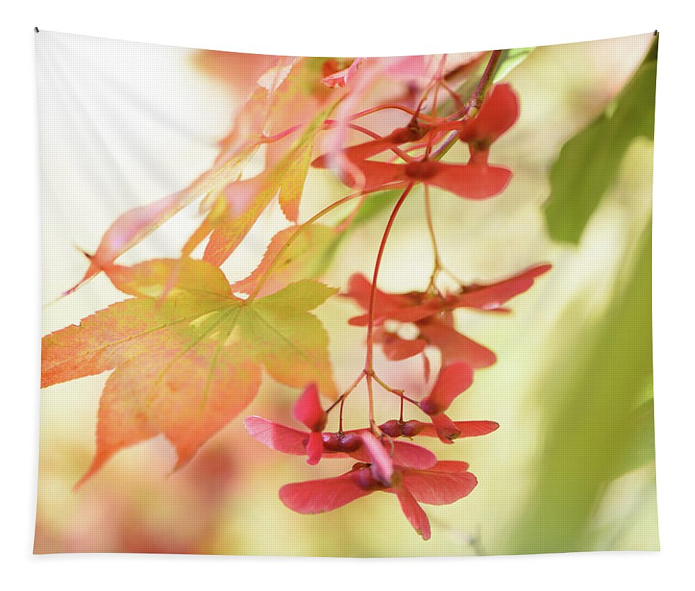 Fall Leaves Tapestry featuring the photograph Japanese maple tree by Naomi Maya