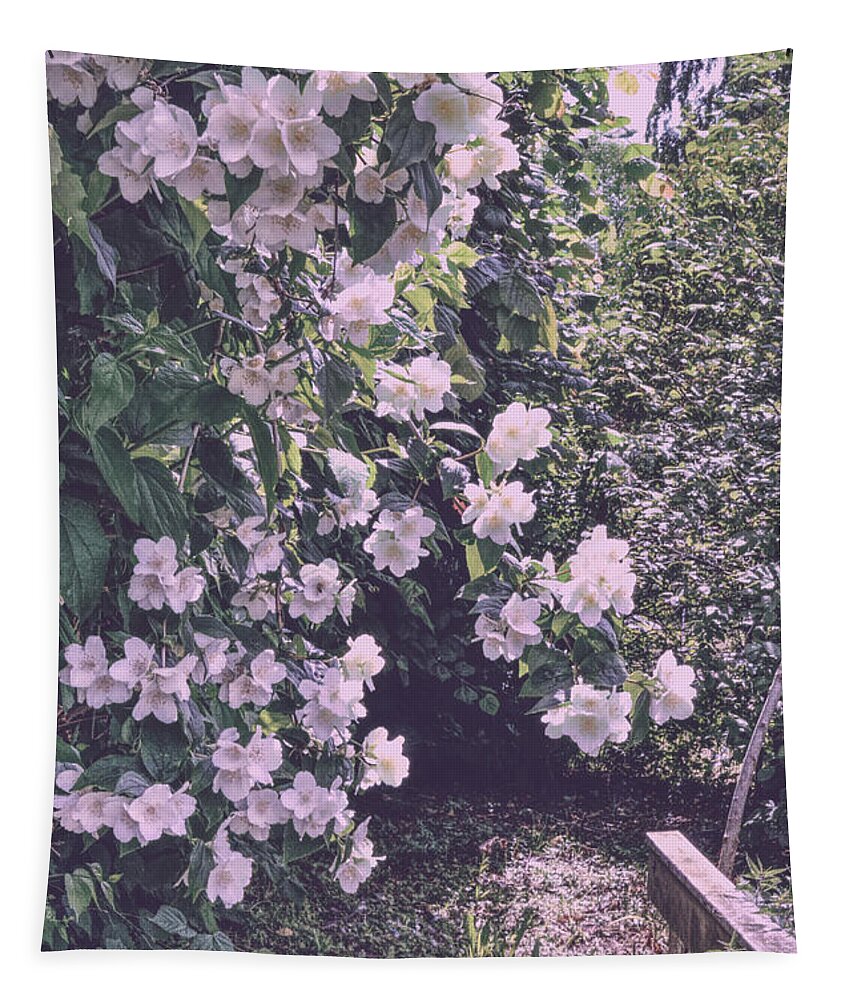 Jasmine Flower Tapestry featuring the photograph Jasmine Flower by Elaine Berger