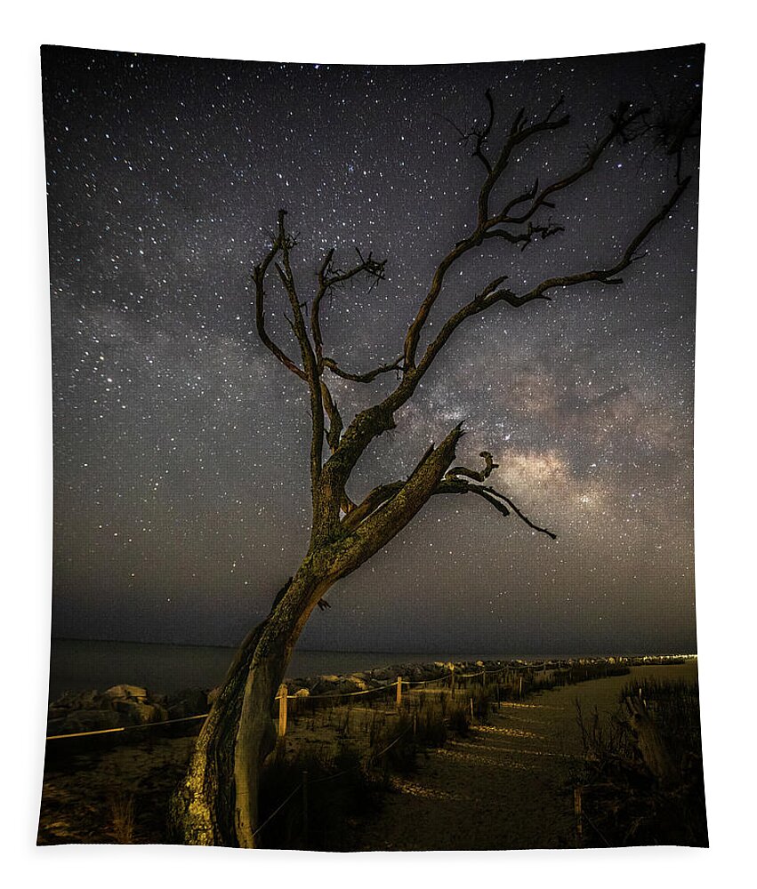 Jekyll Island Tapestry featuring the photograph Jekyll Island Night Sky by Nick Noble