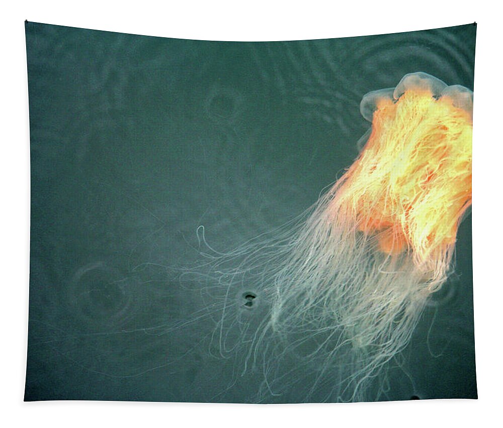 Orange Tapestry featuring the photograph Jellofish Exit Stage Left by Kreddible Trout