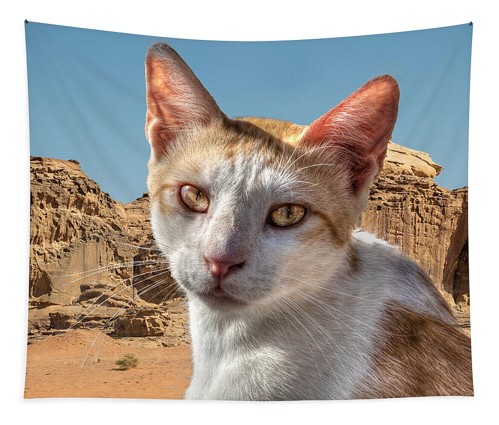 Cat Tapestry featuring the photograph Jordanian Cat by Richard Goldman