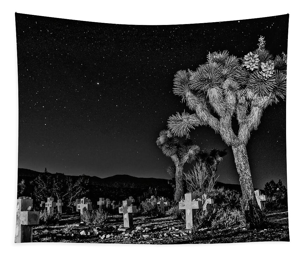 Joshua Tree Tapestry featuring the photograph Joshua amongst souls by Daniel Hayes