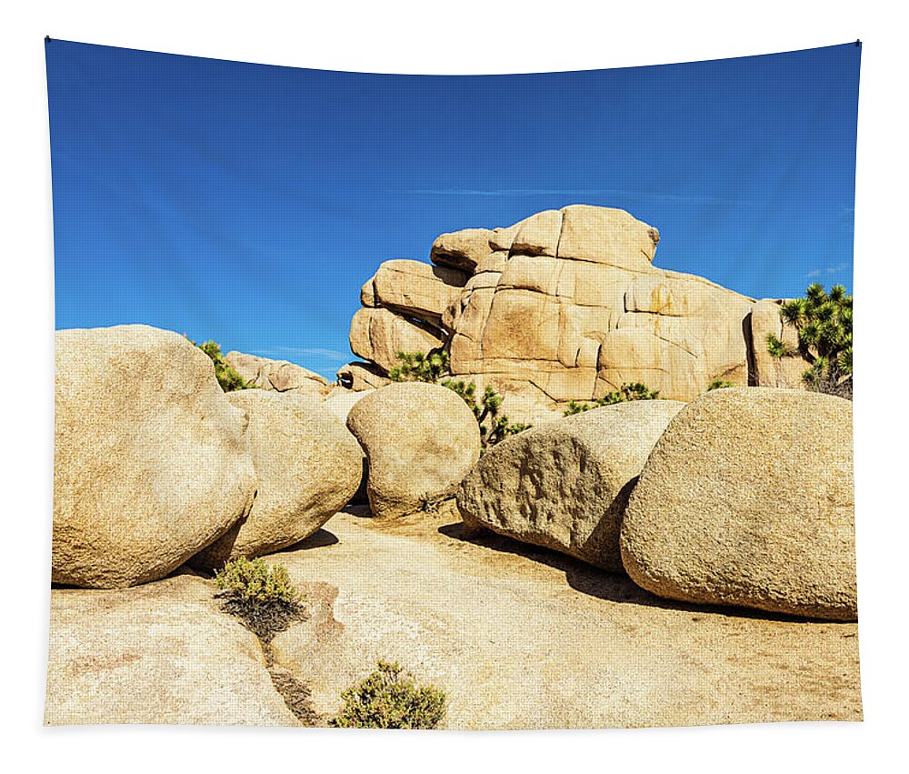 Landscapes Tapestry featuring the photograph Joshua Tree-2 by Claude Dalley