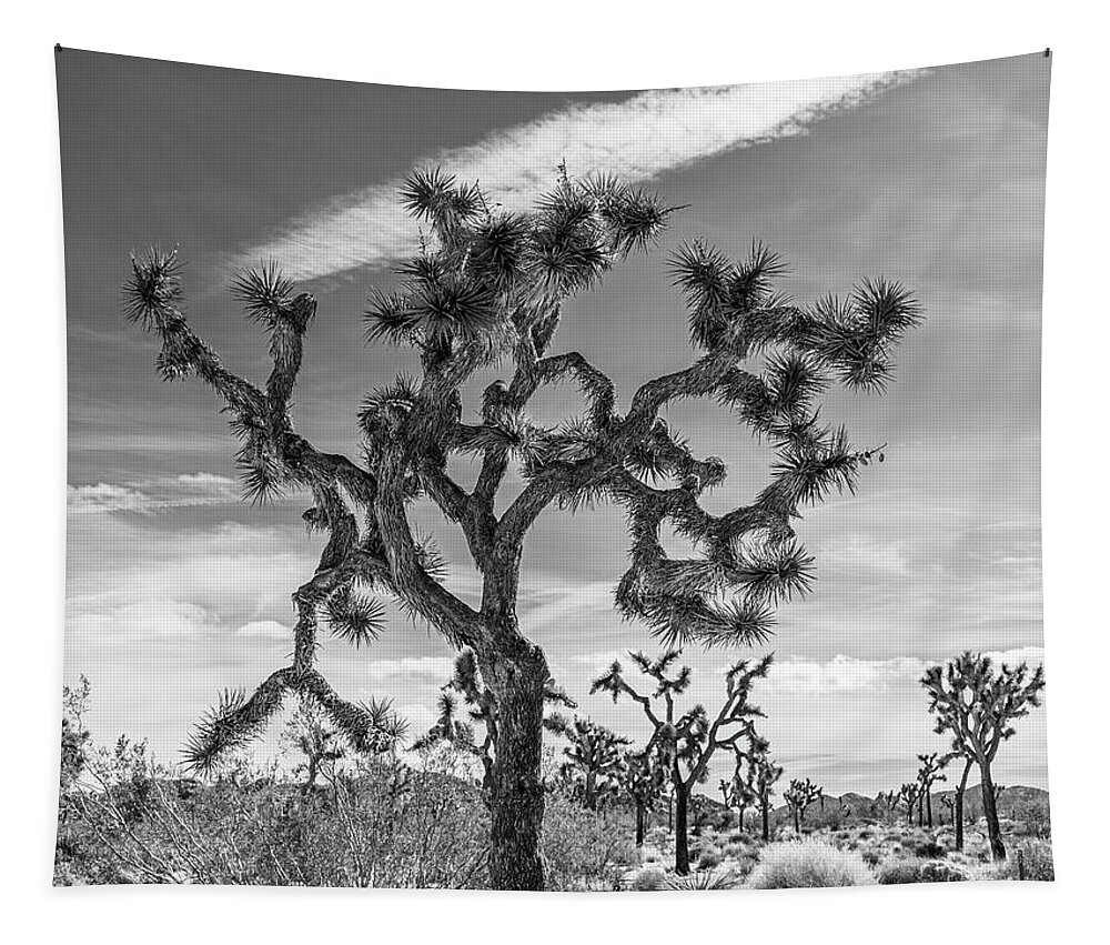 Landscape Tapestry featuring the photograph Joshua Tree Black and White by Claude Dalley