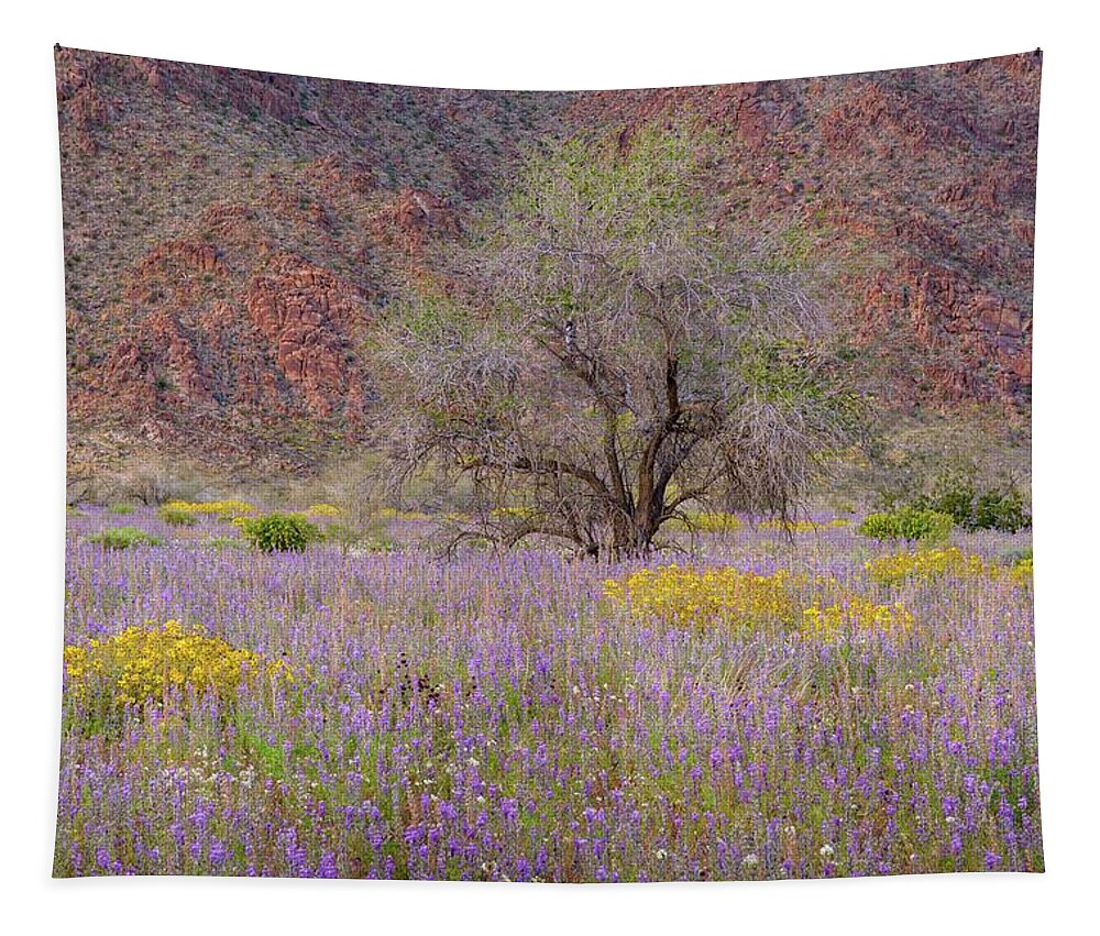 Joshua Tree Tapestry featuring the photograph Joshua Tree - Ironwood and Flower Field by Alexander Kunz