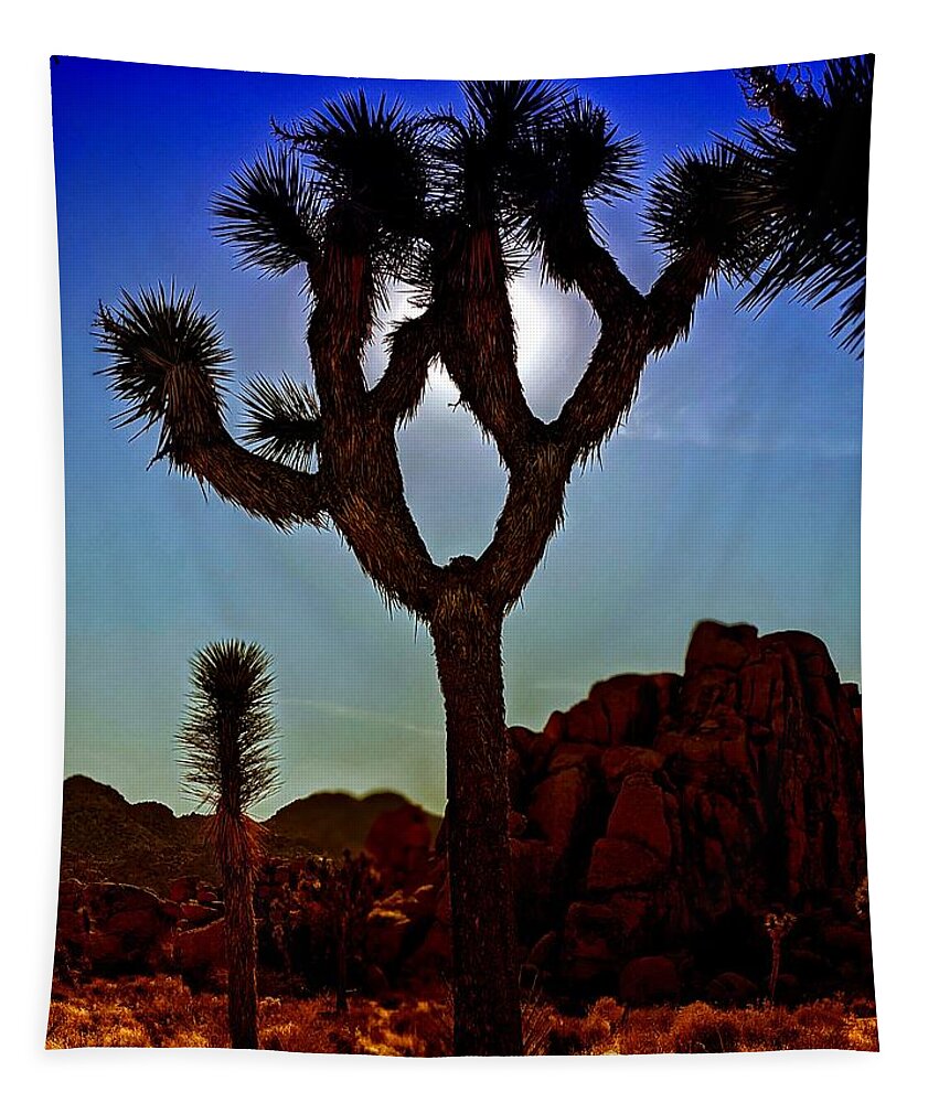 Joshua Tree Tapestry featuring the photograph Joshua Tree Sun by Dave Zumsteg