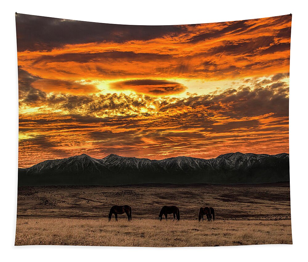  Tapestry featuring the photograph Jtdx7381 by John T Humphrey