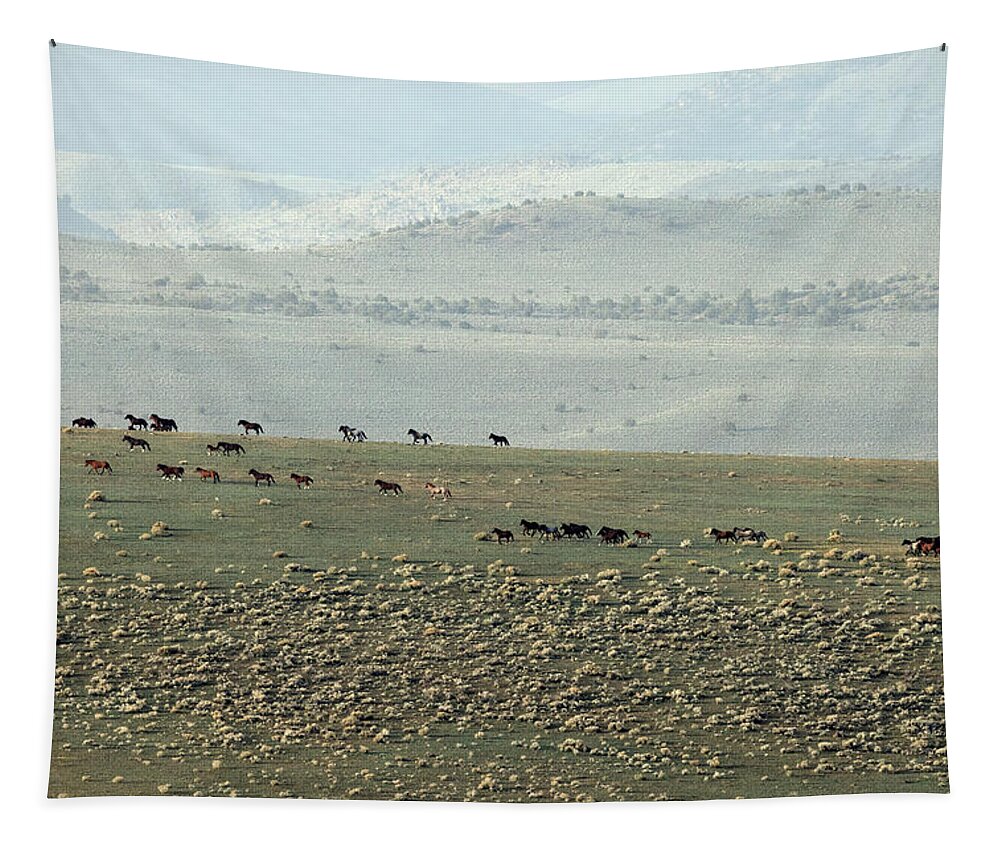  Tapestry featuring the photograph Jtr50316 by John T Humphrey