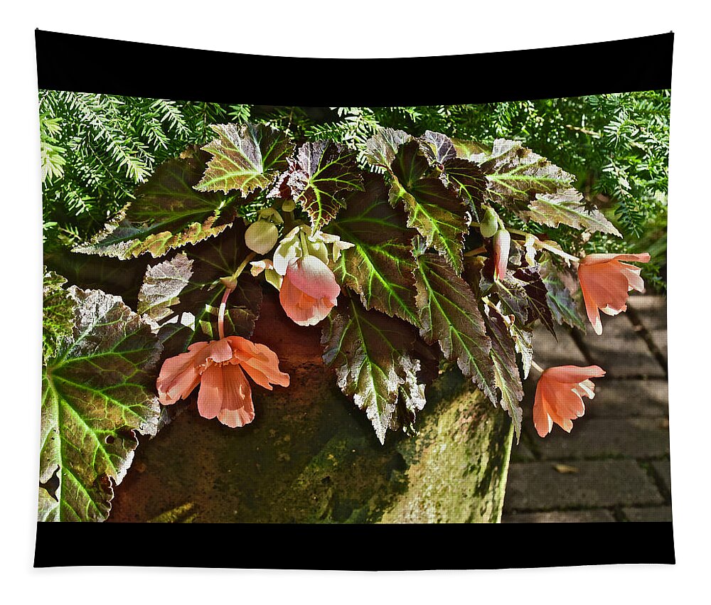 Begonia Tapestry featuring the photograph July Garden Visit Orange Begonia by Janis Senungetuk