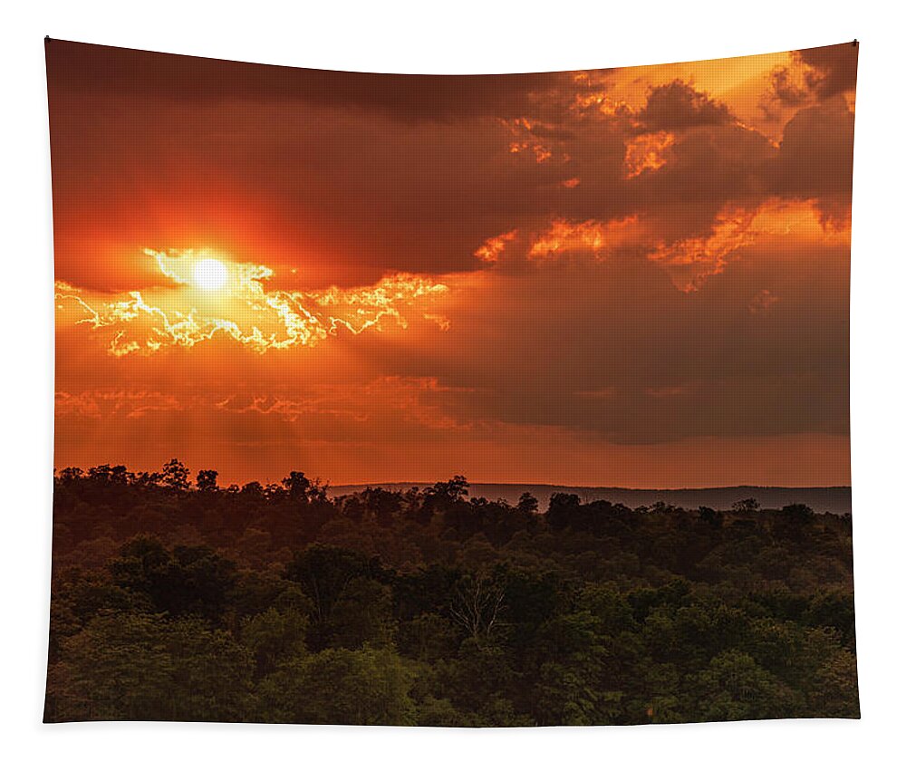 Sunset Tapestry featuring the photograph June Sunset Over the Forest by Jason Fink