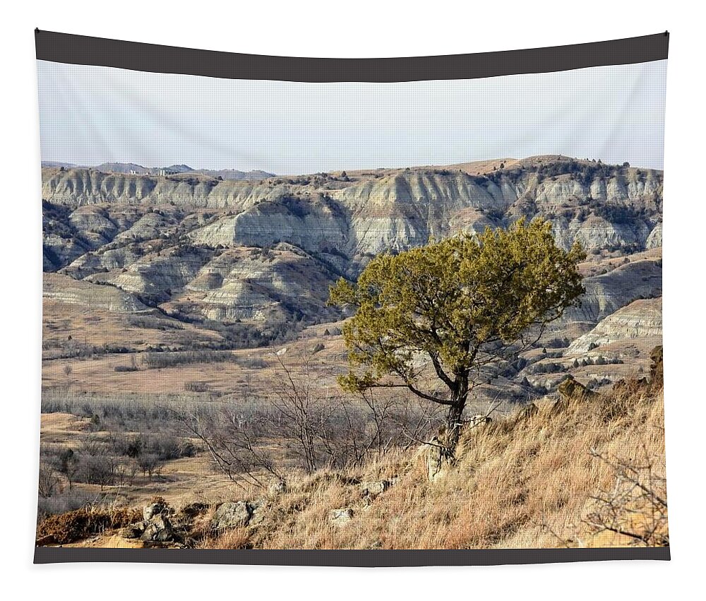Tree Tapestry featuring the photograph Juniper on the Ridge by Amanda R Wright