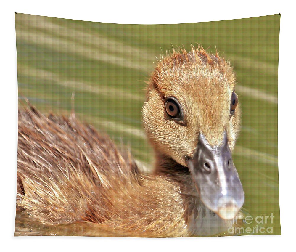 Duckling Tapestry featuring the photograph Just Cute Little Me by Joanne Carey