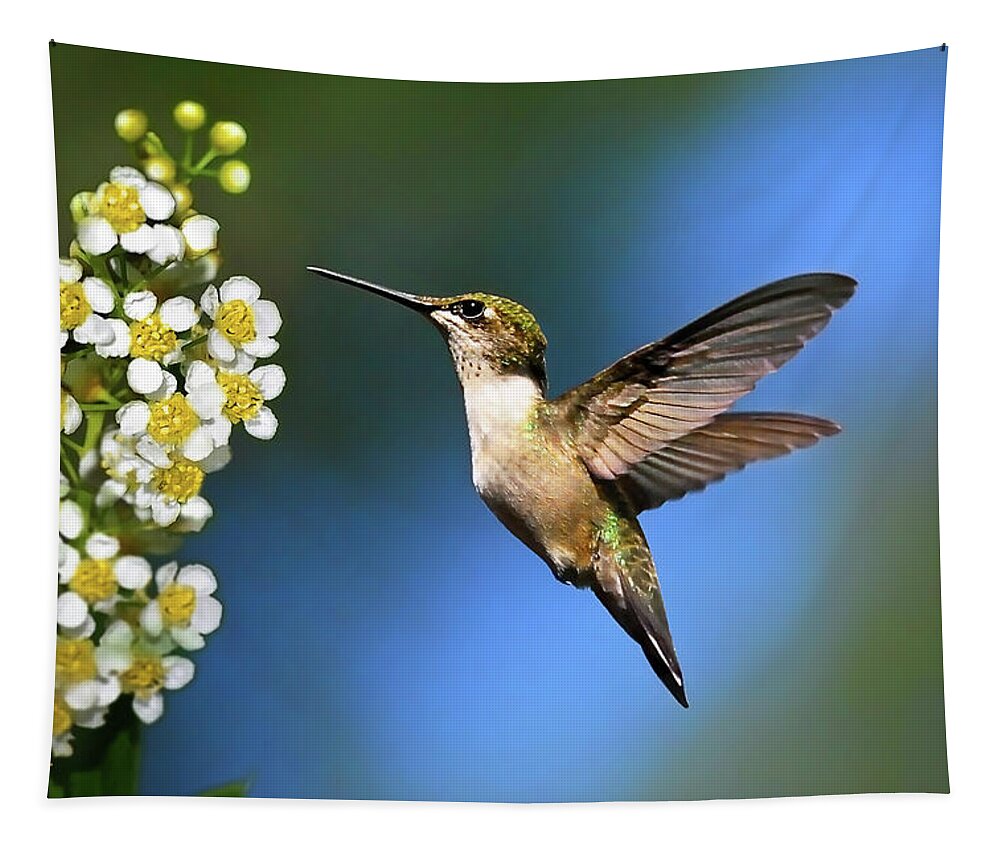 Hummingbird Tapestry featuring the photograph Just Looking by Christina Rollo