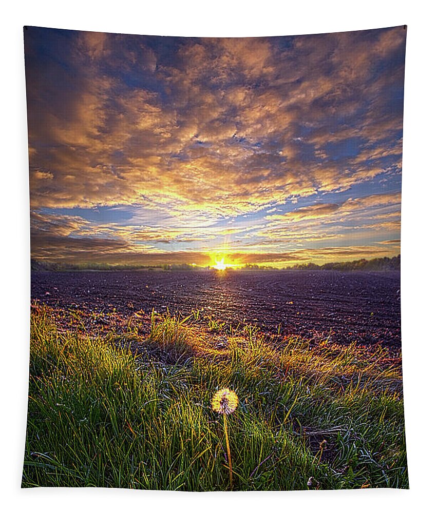 Fineart Tapestry featuring the photograph Just One Can Lead To Many by Phil Koch