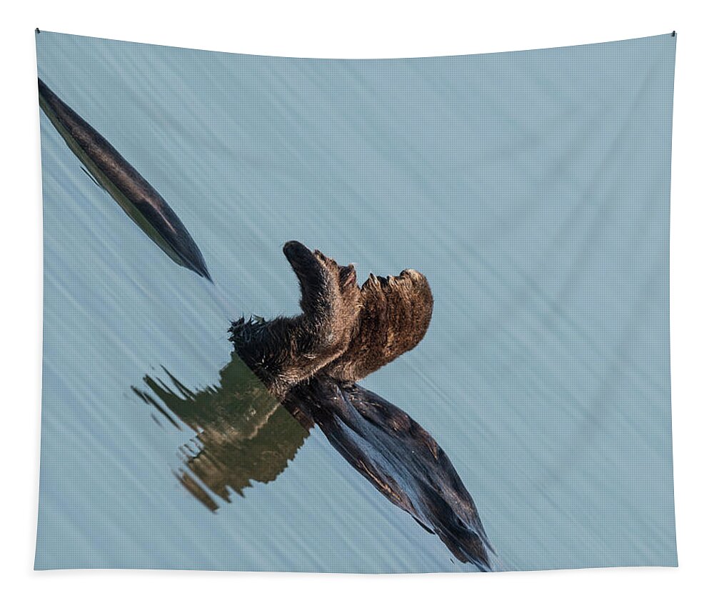 Sea Otter Tapestry featuring the photograph Just Relaxing by Puttaswamy Ravishankar