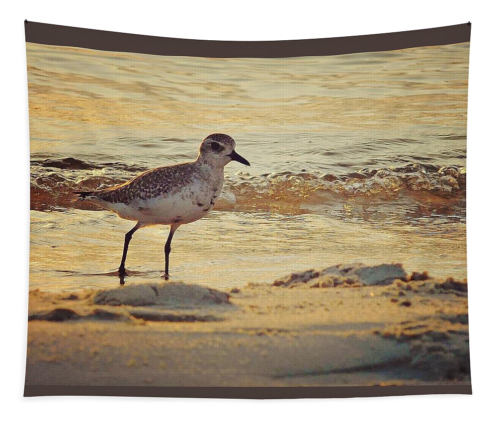 Black-bellied Plover Tapestry featuring the photograph Juvenile Black-bellied Plover by Judy Stepanian