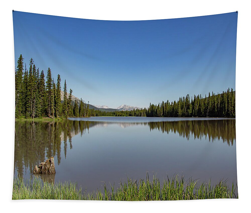 Canadian Rocky Mountains Tapestry featuring the photograph Kananaskis Country 5 by Cindy Robinson