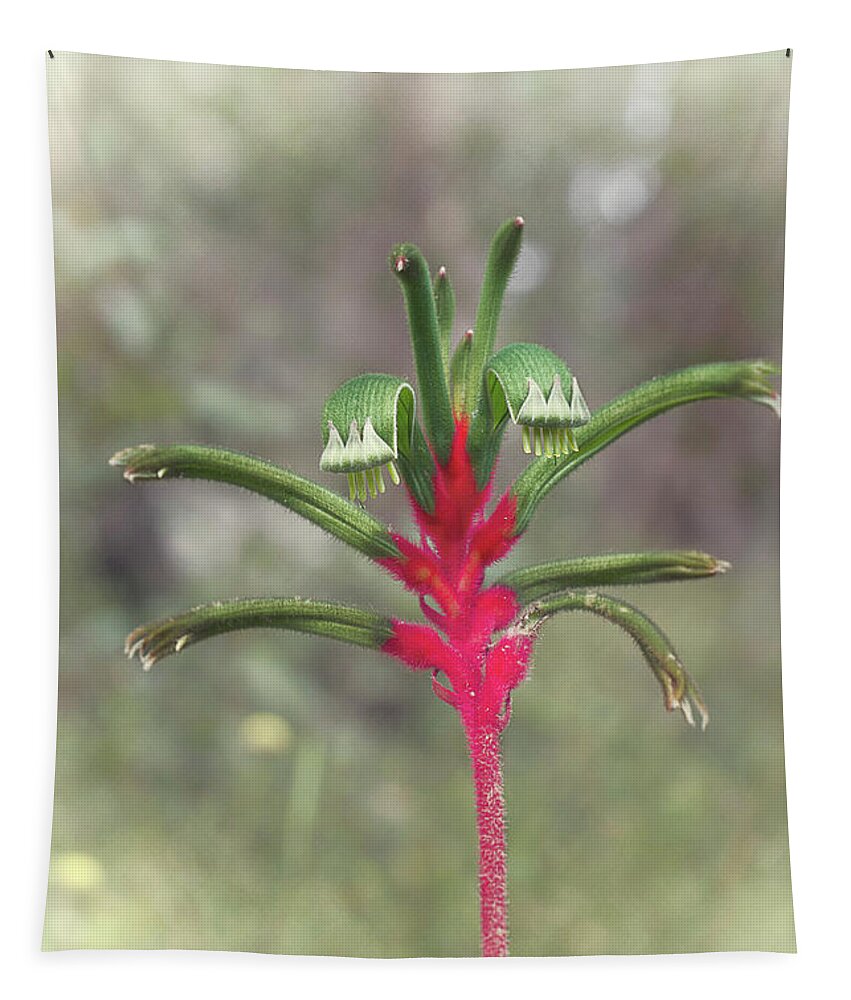 Australian Native Tapestry featuring the photograph Kangaroo Paw 9 by Elaine Teague