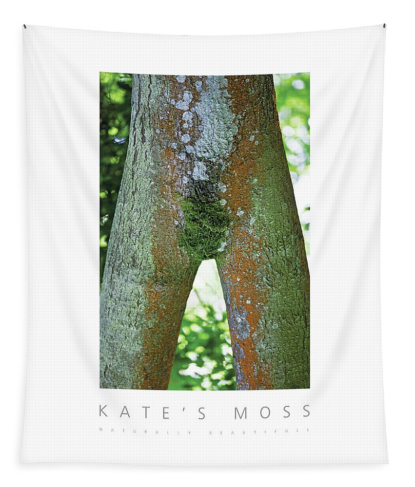 Tree Tapestry featuring the photograph Kate's Moss Naturally Beautiful Poster by David Davies