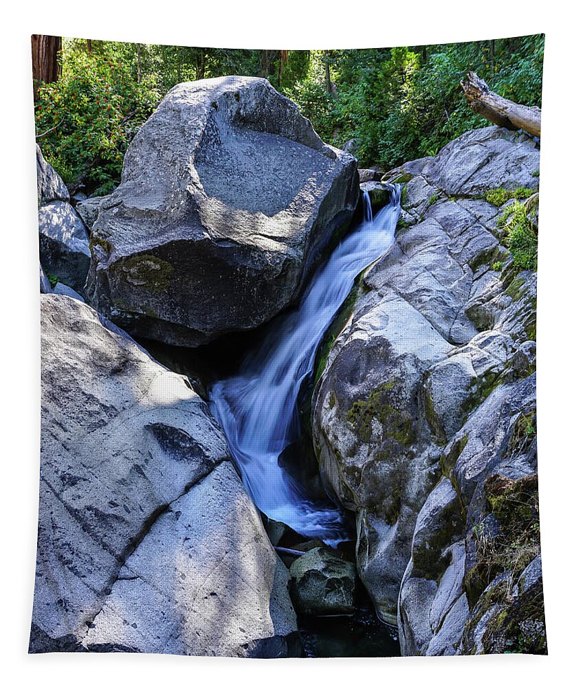Kaweah River Tapestry featuring the photograph East Fork Kaweah River Detail by Brett Harvey