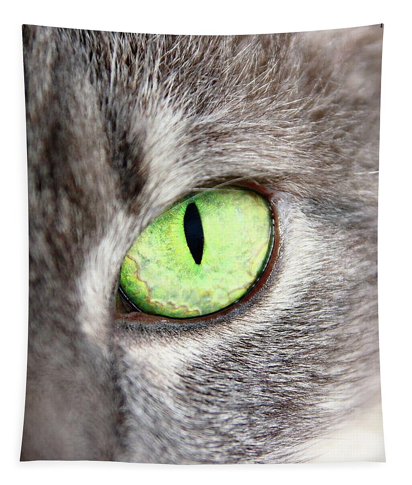 Cat Tapestry featuring the photograph Keeping An Eye On You by Lens Art Photography By Larry Trager