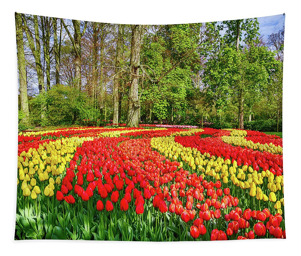Europe Tapestry featuring the photograph Keukenhof Gardens III by Jim Miller