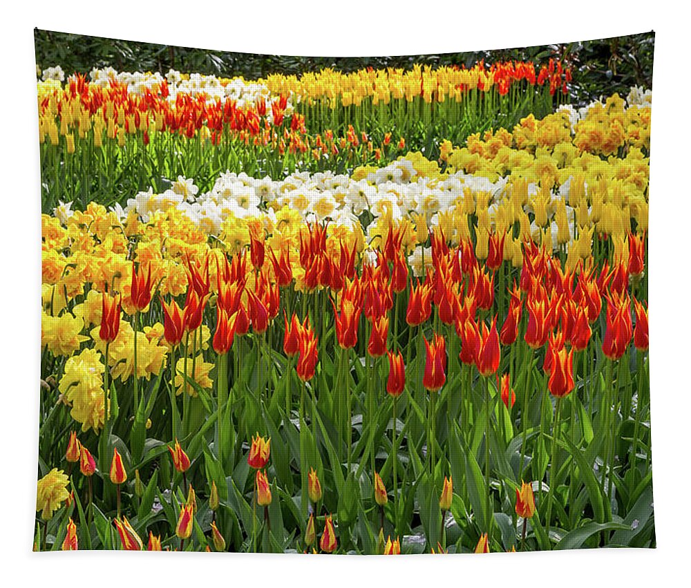 Europe Tapestry featuring the photograph Keukenhof Gardens V by Jim Miller