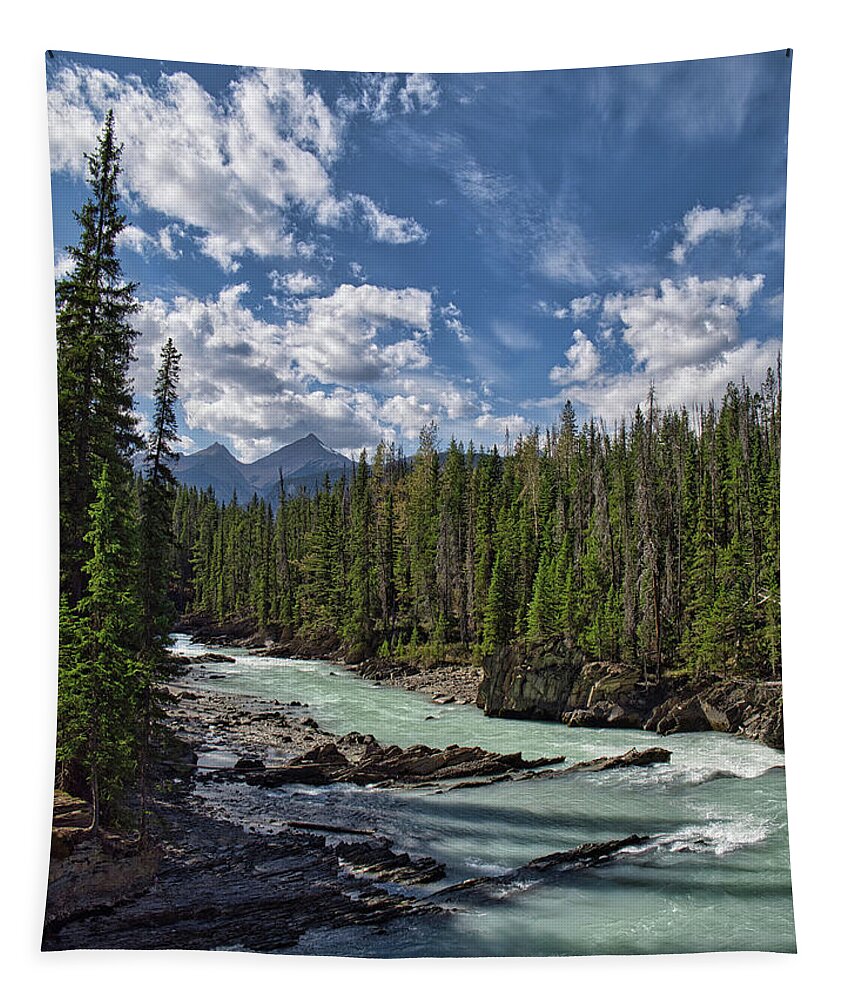 Landscape Tapestry featuring the photograph Kicking Horse River Below the Natural Bridge by Allan Van Gasbeck