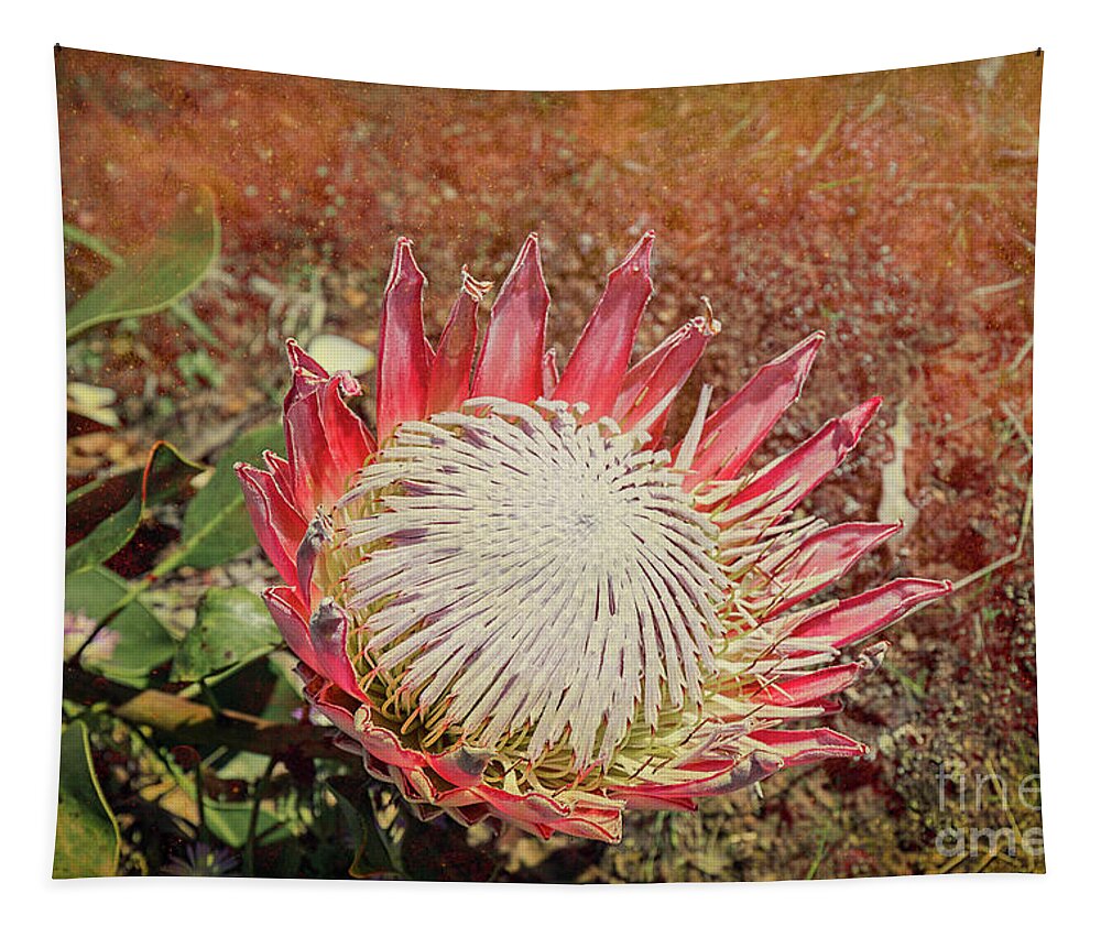 Floral Tapestry featuring the photograph King Protea #2 by Elaine Teague