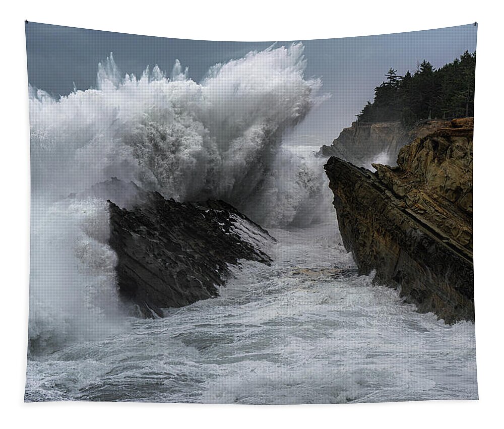 Coast Tapestry featuring the photograph King Tides 1 by Ryan Weddle
