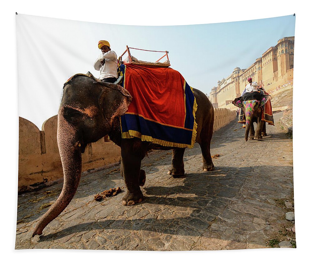 India Tapestry featuring the photograph Kingdom Come II - Amber Fort, Rajasthan. India by Earth And Spirit