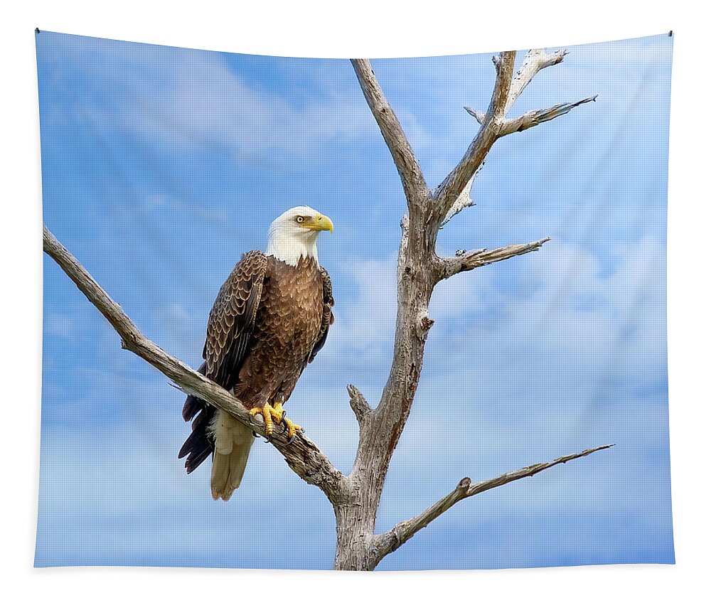 Eagle Tapestry featuring the photograph Kingdom of the Eagle by Mark Andrew Thomas